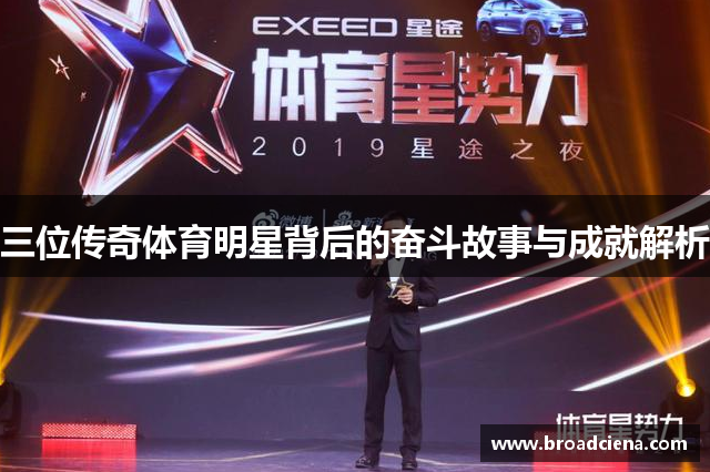 三位传奇体育明星背后的奋斗故事与成就解析